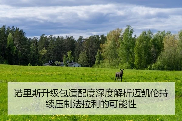 诺里斯升级包适配度深度解析迈凯伦持续压制法拉利的可能性
