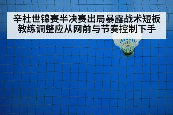 badminton net play